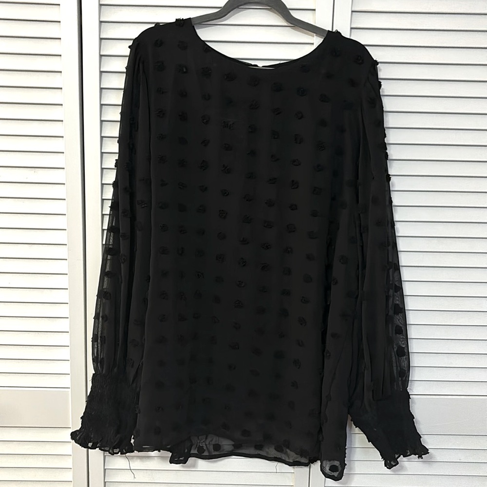 Women’s Sheer Tunic Blouse